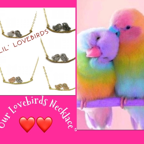 Our Lil’Lovebirds Necklace in Austrian Crystal-NWT-Boutique - Picture 1 of 8